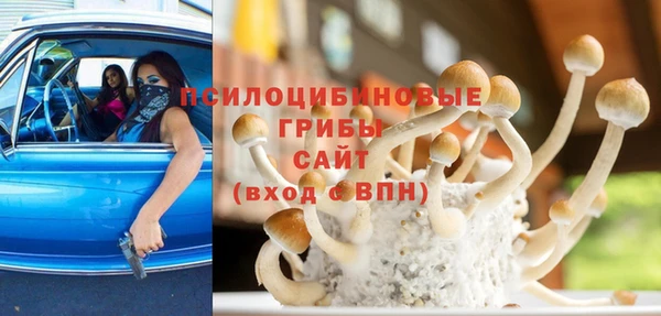 эйфоретик Алексин